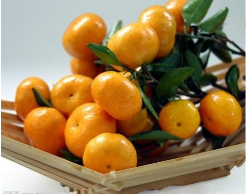Nanfeng Honey Tangerine , NanchangTravel, Nanchang Guide  